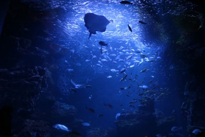全海域未达到第一类海水水质标准的海域面积