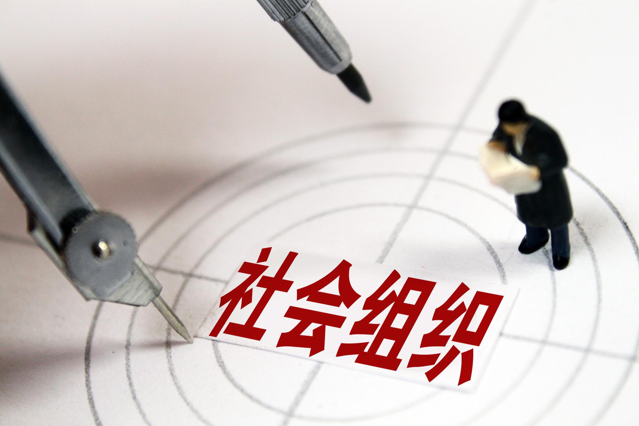 社会组织、自治组织